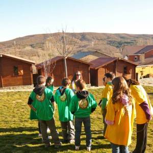 equipos verde y amarillo