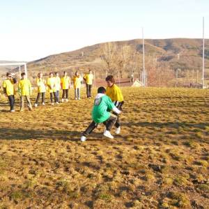 equipos verde y amarillo