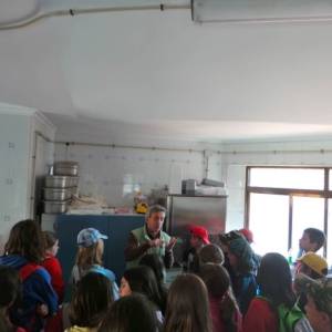 Visita taller de ceramica y queseria