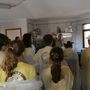 Visita taller de ceramica y queseria