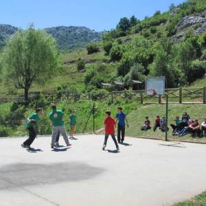 campamento de baloncesto