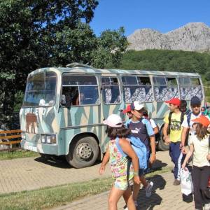 Visita al museo de la Fauna Salvaje