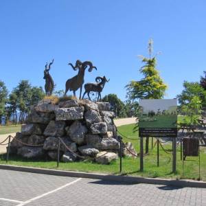 Visita al museo de la Fauna Salvaje