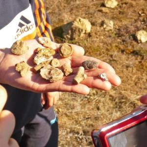 Excursión a Llama de Colle y fósiles