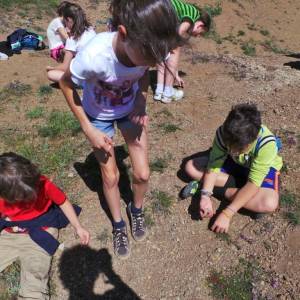 Excursión a Llama de Colle y fósiles