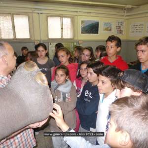 Campamento de inglés en León - Verano 2013