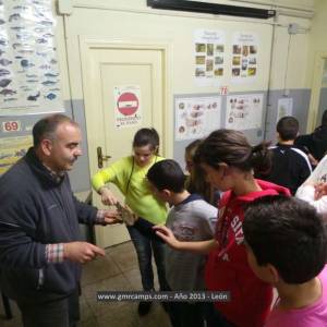 Campamento de inglés en León - Verano 2013