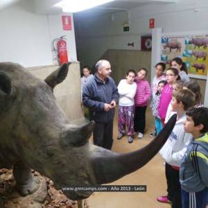 Campamento de inglés en León - Verano 2013