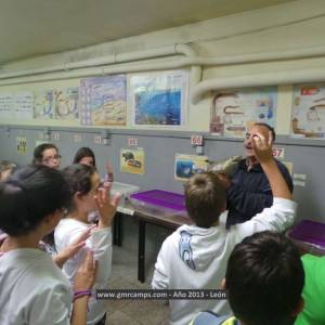 Campamento de inglés en León - Verano 2013