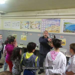 Campamento de inglés en León - Verano 2013