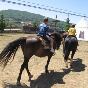 Caballos (Hípica)