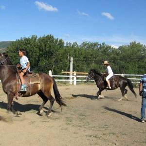 Caballos (Hípica)