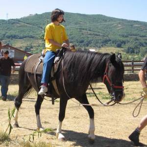 Caballos (Hípica)