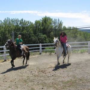 Caballos (Hípica)