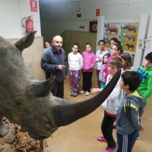 Excursiones a León