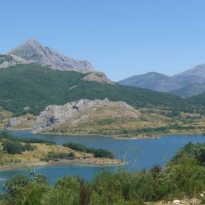 Excursión al Museo de la Fauna Salvaje