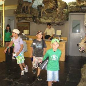 Excursión al Museo de la Fauna Salvaje