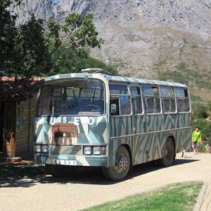 Excursión al Museo de la Fauna Salvaje