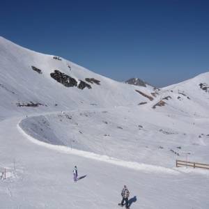 Campamento de inglés 2011