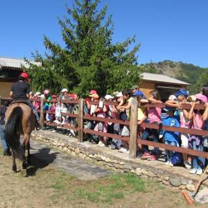 Campamento de inglés 2011