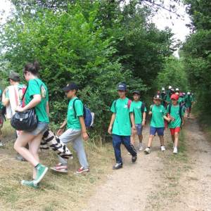 Campamento de inglés 2011