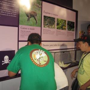 Campamento de inglés 2011