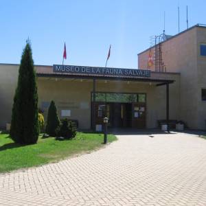 Campamento de inglés 2011