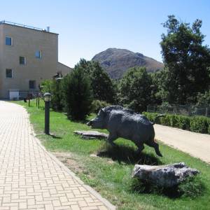 Campamento de inglés 2011