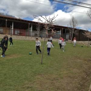 juegos de campamento