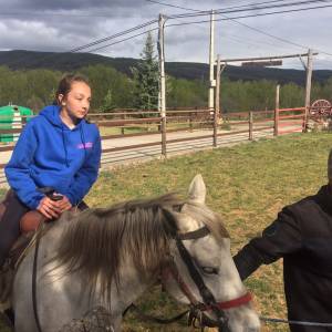 caballos con los profesores de inglés