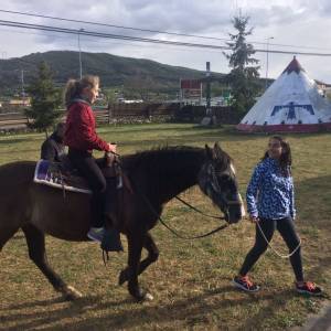 caballos con los profesores de inglés