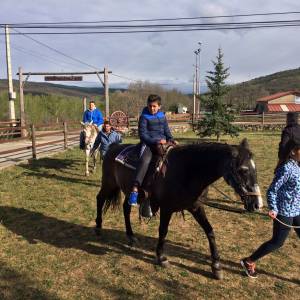 caballos con los profesores de inglés