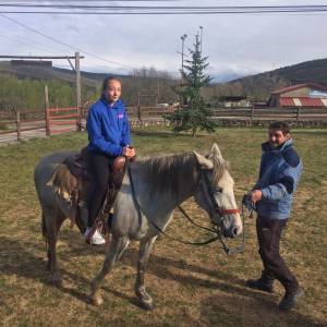 caballos con los profesores de inglés