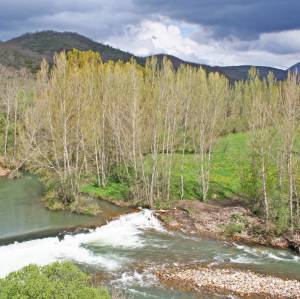 entorno del campamento de inglés