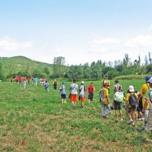 entorno del campamento de inglés