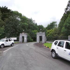 Campamento en Irlanda con niños irlandeses