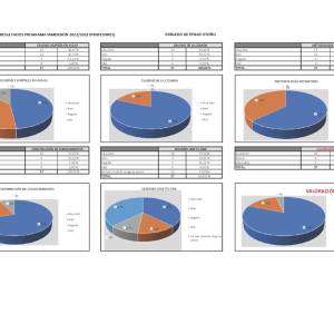 Encuestas inmersiones colegios MEFP