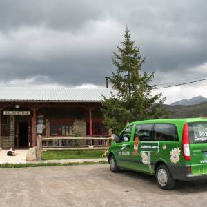 Vehiculos del campamento de inglés