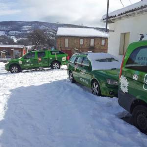 Vehiculos del campamento de inglés