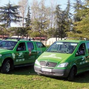 Vehiculos del campamento de inglés