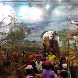 Dia de Museo de la fauna y piraguismo