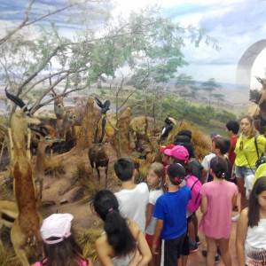 Dia de Museo de la fauna y piraguismo