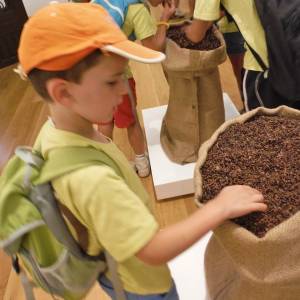 Excursión a Astorga y sus museos