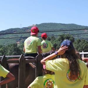 caballos escalada y noche del terror