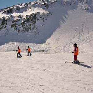 semana blanca 2016