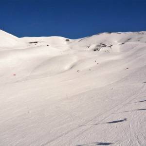 semana blanca 2016