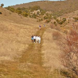 semana blanca 2016