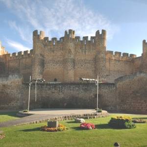 Castillo de Valencia de Don Juan, León