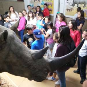 excursión a León con profesores nativos